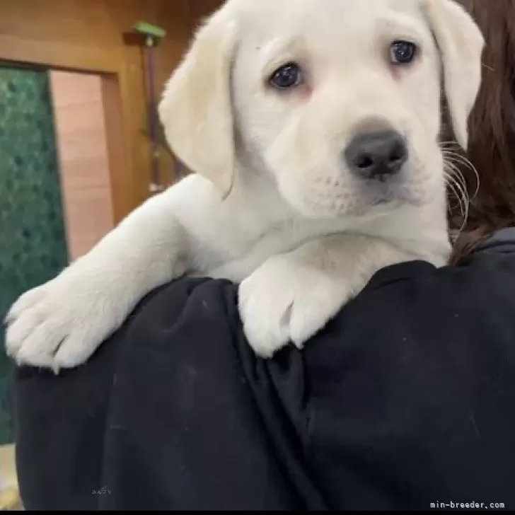 さる 様のお迎えした子犬