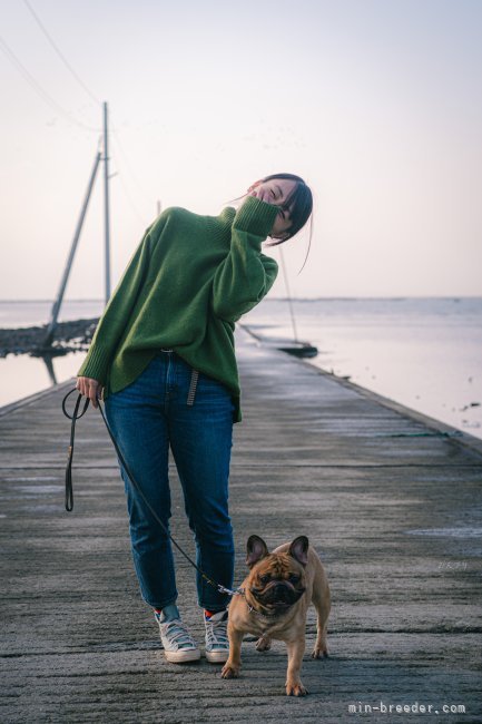 わんこたちに囲まれて楽しく生活しています。｜鹿瀬島　有彩(かせじま　ありさ)ブリーダー(熊本県・フレンチブルドッグ・JKC登録)の紹介写真4