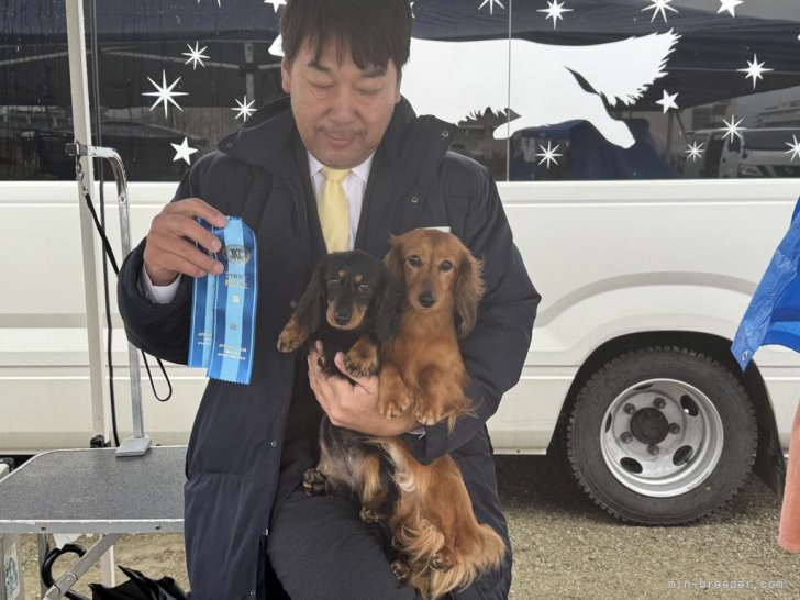 2日連続カード取得。