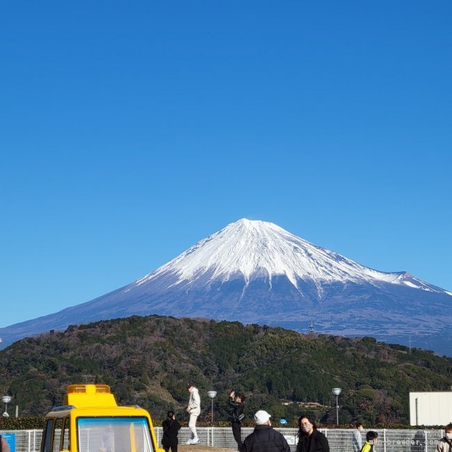 三堀玲奈ブリーダーのブログ：新年、明けましておめでとうございます🎍