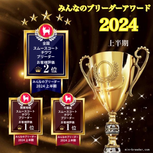 吉川久美ブリーダーのブログ：🏆みんなのブリーダーアワード2024年　上半期🏆