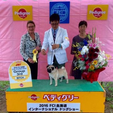 みんなの犬図鑑 愛媛県で評判の良い犬のブリーダー紹介