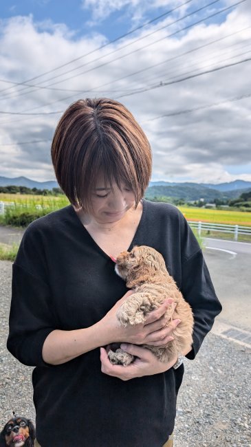 倉橋宏実ブリーダーのブログ：コッカーバフガールの見学♡