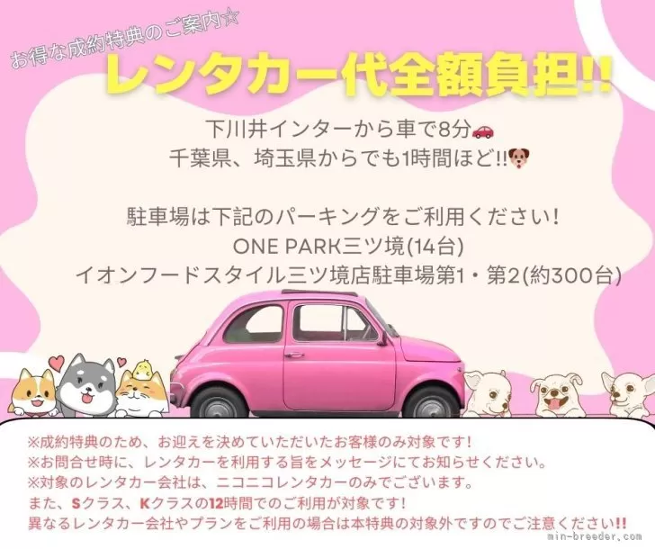 トイプードル【神奈川県・男の子・2024年11月7日・ブラック】🐶見学会開催💕可愛いワンちゃんが大集合💓💓｜みんなのブリーダー（子犬ID：2412-06413）