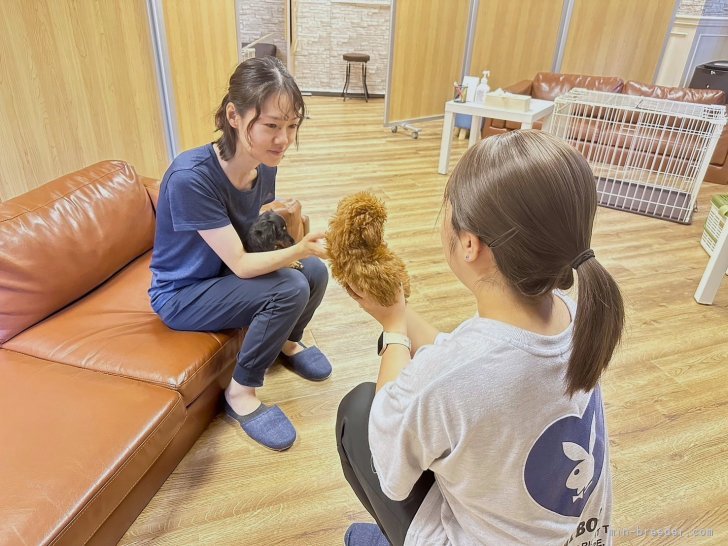 専門スタッフが生活の仕方やしつけ等を分かりやすく説明します！｜藤本　朝人(ふじもと　あさと)ブリーダー(東京都・トイプードルなど・JKC登録)の紹介写真5