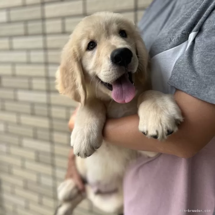 Y.A 様のお迎えした子犬