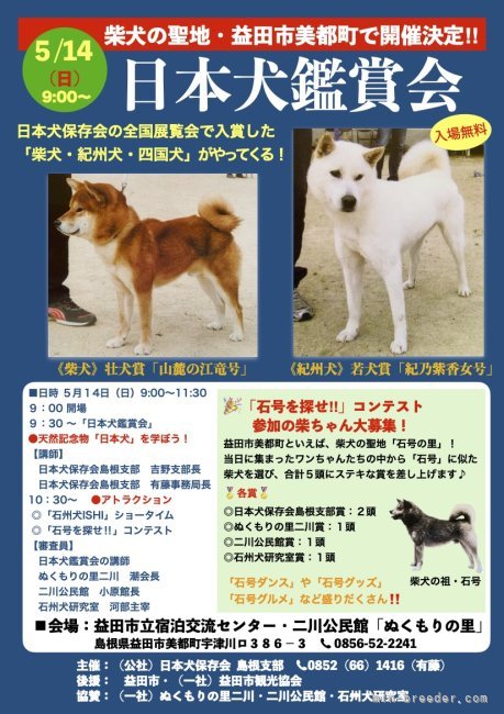 日本犬写真集 柴犬 品評会 展覧会 日本犬保存会 - 参考書