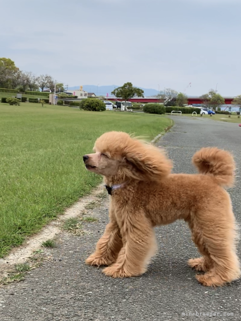 廣友愛ブリーダー