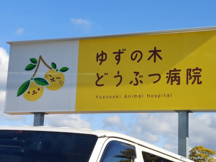 山本真奈ブリーダーのブログ：2回目ワクチン終了しました💉🏥