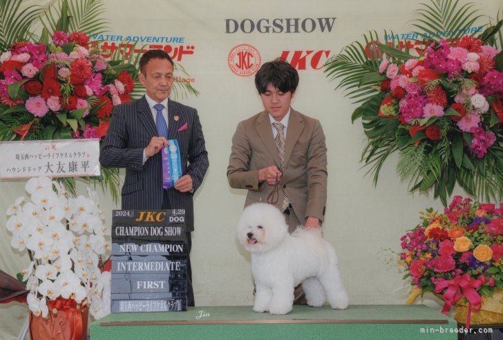 野木　滋(のぎ　しげる)ブリーダー(愛知県・ビションフリーゼなど・JKC登録)の紹介写真7