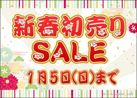 植田進一郎ブリーダーのブログ：お正月セール開催