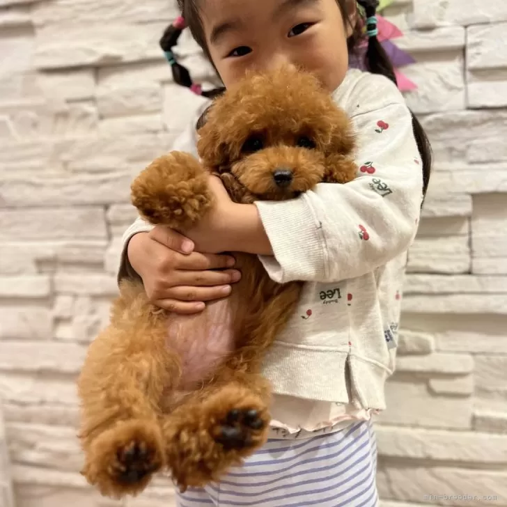 ccss 様のお迎えした子犬