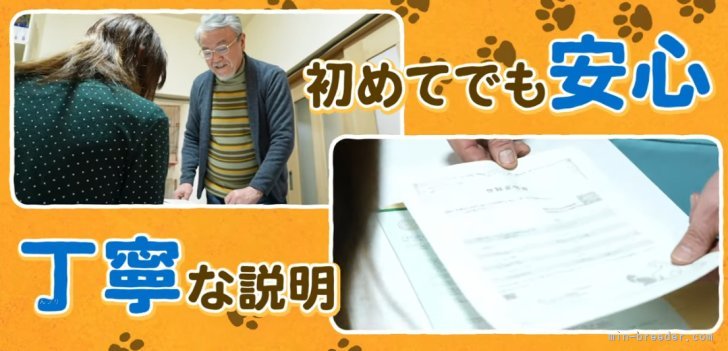 分からない事は丁寧にご説明致します。｜大橋　則男(おおはし　のりお)ブリーダー(三重県・ゴールデンレトリバーなど・JKC登録)の紹介写真9