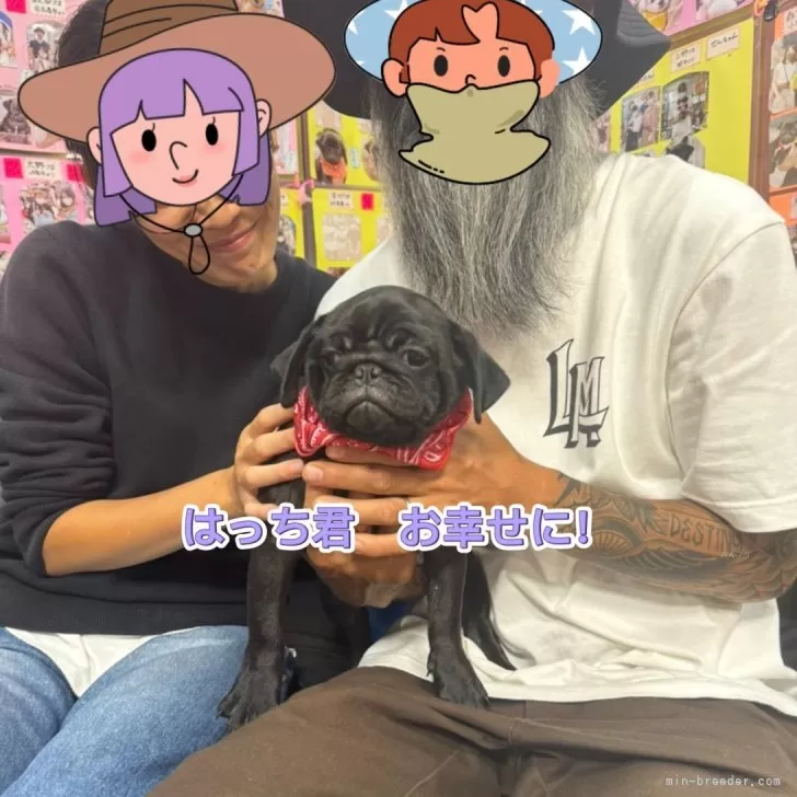 あゆみ 様のお迎えした子犬