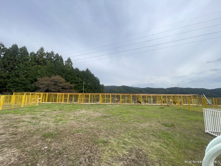 お客様のご来店を大歓迎します。｜張　宗昌(ちょう　しゅうしょう)ブリーダー(茨城県・シベリアンハスキーなど・JKC/cku登録)の紹介写真8