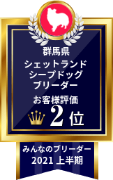 みんなのブリーダー シェットランドシープドッグ(シェルティ)部門 2021年上半期