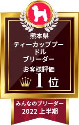 みんなのブリーダー ティーカッププードル部門 2022年上半期