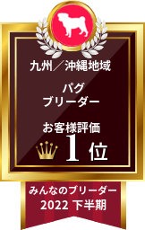 みんなのブリーダー パグ部門 2022年下半期