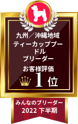 みんなのブリーダー ティーカッププードル部門 2022年下半期