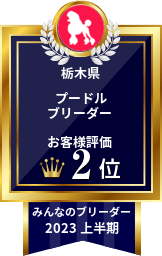 みんなのブリーダー プードル部門 2019年上半期