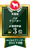 みんなのブリーダー パグ部門 2023年下半期