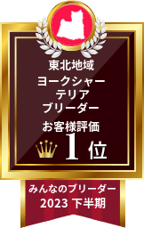 みんなのブリーダー ヨークシャーテリア(ヨーキー)部門 2023年下半期