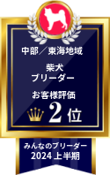 みんなのブリーダー 柴犬部門 2024年上半期