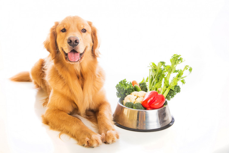 獣医師監修 危険度別に紹介 犬が食べてはいけないものリスト みんなのブリーダー