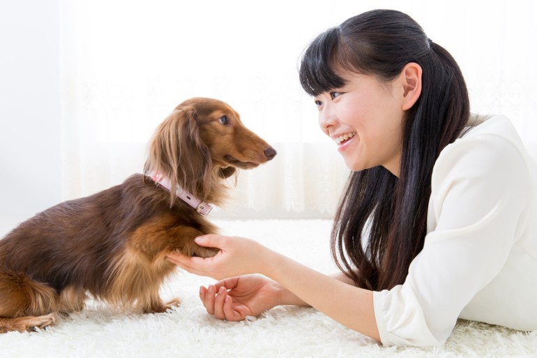 ペット 褒められ 言葉 飼い主 コレクション