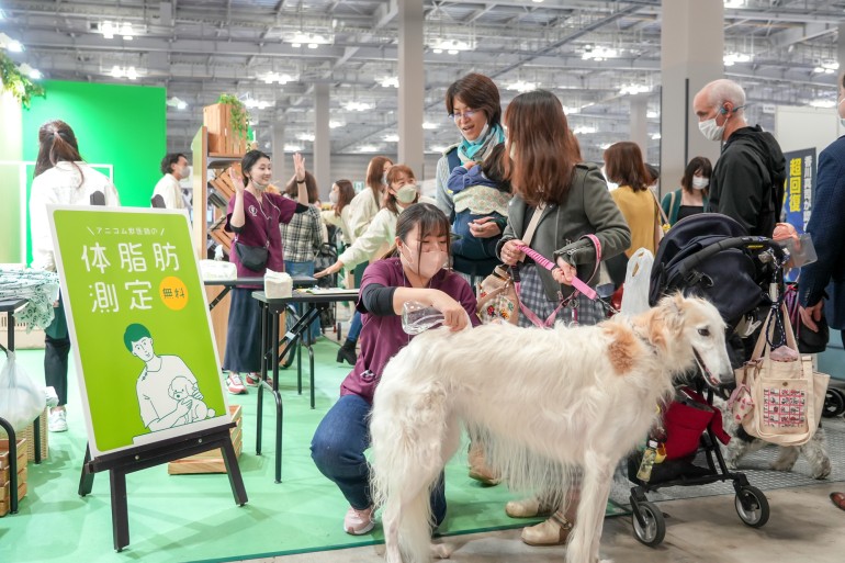 インターペット コレクション 保護犬ファッションショー