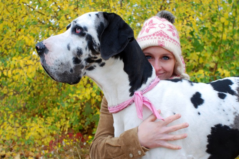 ぶち犬ってどんな犬種がいる？ まだら模様の14犬種を紹介｜みんなのブリーダー