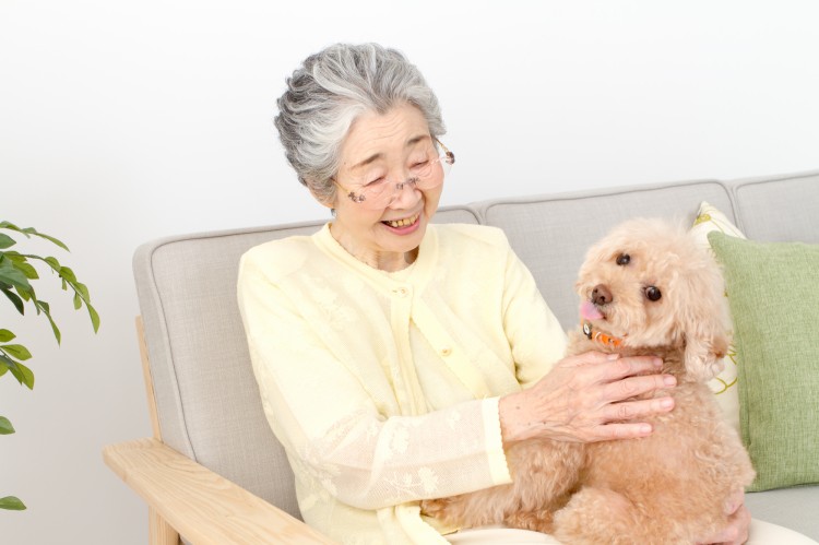 お年寄り おすすめ ペット 安い