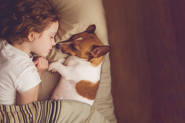 子どもと犬って仲良くなれる 子育て世帯で犬を飼うコツ みんなのブリーダー