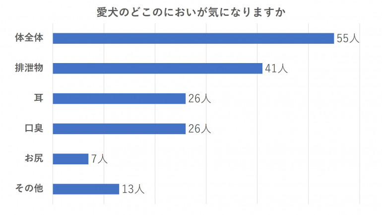 犬ってやっぱりくさいの においの原因を知って対策すれば大丈夫 みんなのブリーダー