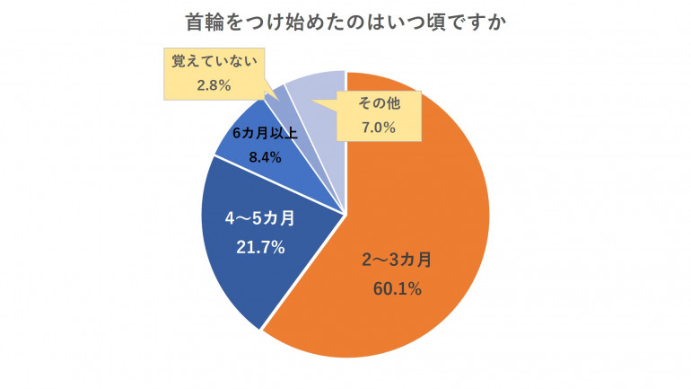 安い 子犬 いつから首輪