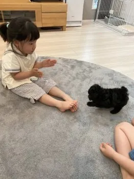 M.K 様のお迎えした子犬