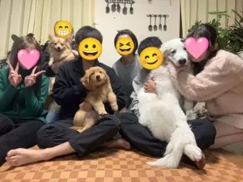 さんちゃん 様のお迎えした子犬