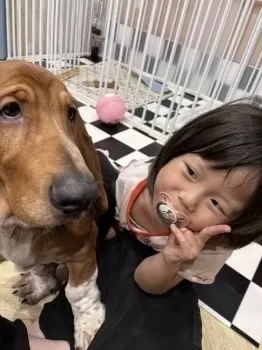 グールポンスキー 様のお迎えした子犬