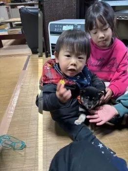 Y.T 様のお迎えした子犬