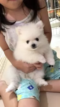 H.M 様のお迎えした子犬