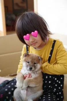 K.K 様のお迎えした子犬