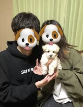 R.K 様のお迎えした子犬