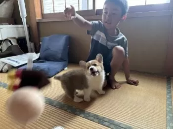 もちづき 様のお迎えした子犬