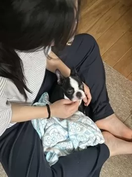 なお 様のお迎えした子犬