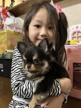 R.M 様のお迎えした子犬