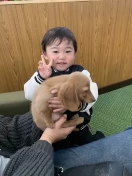 ラムりん 様のお迎えした子犬