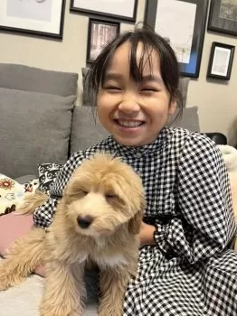 cocobecca 様のお迎えした子犬