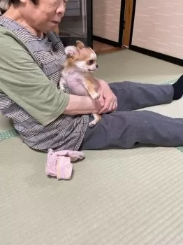 クロ 様のお迎えした子犬