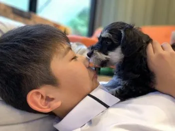 R.H 様のお迎えした子犬