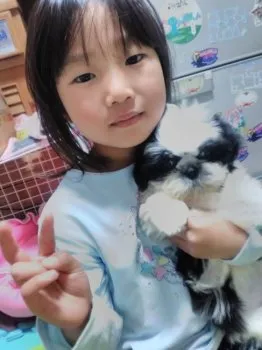 かなかな 様のお迎えした子犬